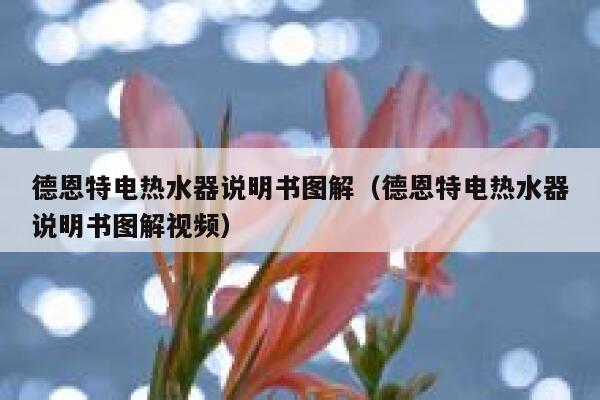 德恩特电热水器说明书图解(德恩特电热水器说明书图解视频) 第1张 德恩特电热水器说明书图解(德恩特电热水器说明书图解视频) 第1张