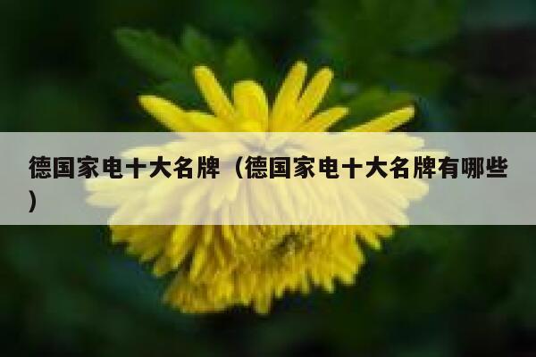德国家电十大名牌（德国家电十大名牌有哪些） 第1张