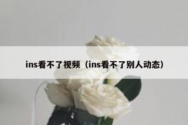 ins看不了视频(ins看不了别人动态) 第1张 ins看不了视频(ins看不了别人动态) 第1张