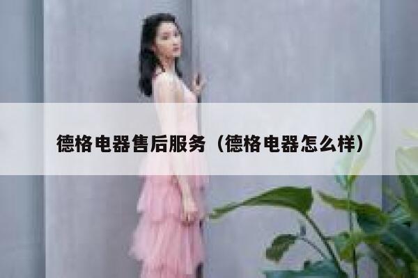 德格电器售后服务(德格电器怎么样) 第1张 德格电器售后服务(德格电器怎么样) 第1张