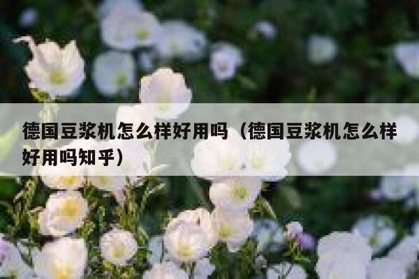 德国豆浆机怎么样好用吗(德国豆浆机怎么样好用吗知乎) 第1张 德国豆浆机怎么样好用吗(德国豆浆机怎么样好用吗知乎) 第1张