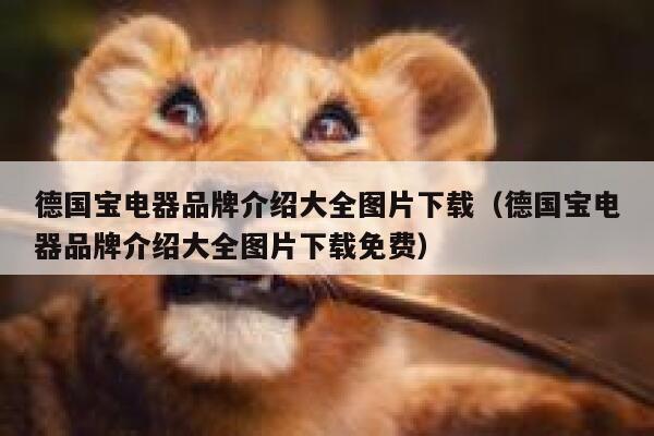 德国宝电器品牌介绍大全图片下载（德国宝电器品牌介绍大全图片下载免费） 第1张