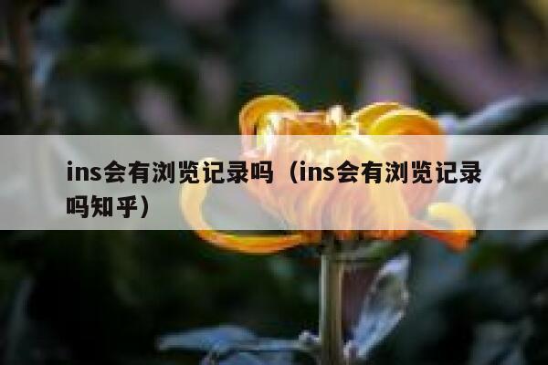 ins会有浏览记录吗(ins会有浏览记录吗知乎) 第1张 ins会有浏览记录吗(ins会有浏览记录吗知乎) 第1张