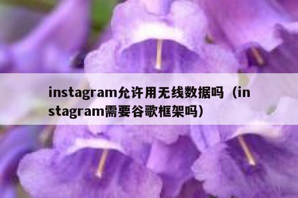 instagram允许用无线数据吗（instagram需要谷歌框架吗） 第1张