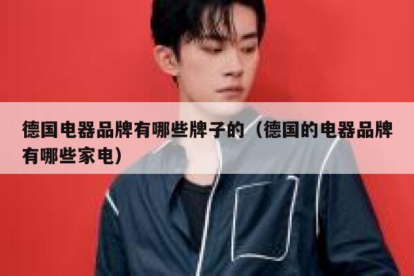 德国电器品牌有哪些牌子的(德国的电器品牌有哪些家电) 第1张 德国电器品牌有哪些牌子的(德国的电器品牌有哪些家电) 第1张