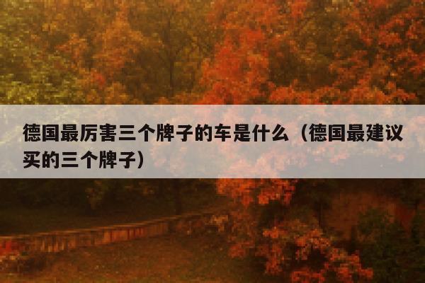 德国最厉害三个牌子的车是什么(德国最建议买的三个牌子) 第1张 德国最厉害三个牌子的车是什么(德国最建议买的三个牌子) 第1张