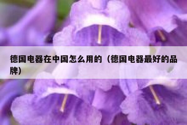 德国电器在中国怎么用的(德国电器最好的品牌) 第1张 德国电器在中国怎么用的(德国电器最好的品牌) 第1张