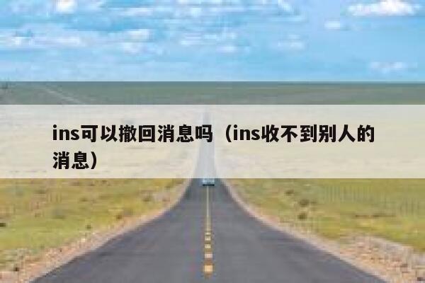 ins可以撤回消息吗（ins收不到别人的消息） 第1张