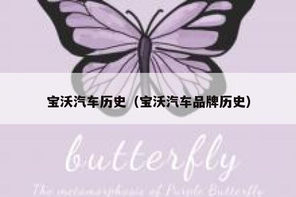 宝沃汽车历史(宝沃汽车品牌历史) 第1张 宝沃汽车历史(宝沃汽车品牌历史) 第1张