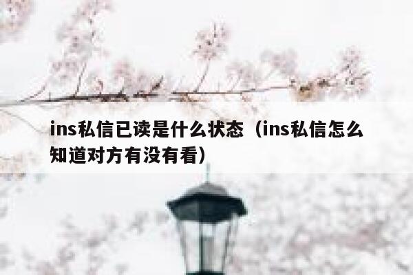 ins私信已读是什么状态（ins私信怎么知道对方有没有看） 第1张