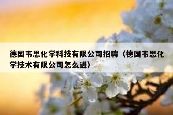 德国韦思化学科技有限公司招聘（德国韦思化学技术有限公司怎么进） 第1张