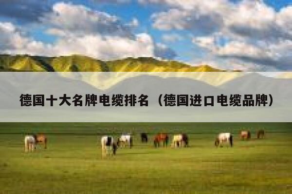 德国十大名牌电缆排名(德国进口电缆品牌) 第1张 德国十大名牌电缆排名(德国进口电缆品牌) 第1张