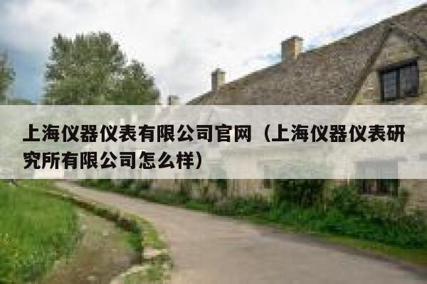 上海仪器仪表有限公司官网（上海仪器仪表研究所有限公司怎么样） 第1张