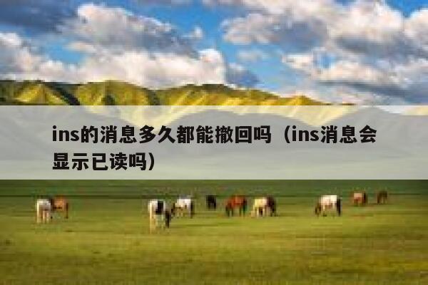 ins的消息多久都能撤回吗(ins消息会显示已读吗) 第1张 ins的消息多久都能撤回吗(ins消息会显示已读吗) 第1张
